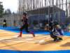 p1010005_small.jpg