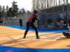 p1010009_small.jpg