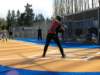p1010010_small.jpg