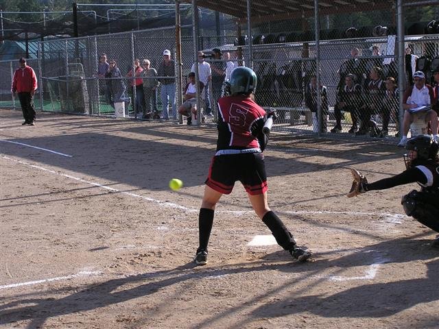 p1010110.jpg