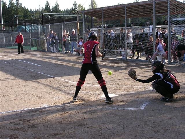 p1010127.jpg
