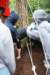 _mg_0160_small.jpg