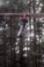 _mg_0263_small.jpg