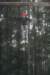 _mg_0264_small.jpg
