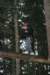 _mg_0317_small.jpg