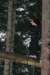 _mg_0360_small.jpg