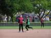 p1010033_small.jpg