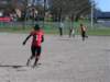 p1010060_small.jpg