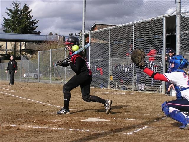 p1010007small.jpg