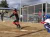 p1010011small_small.jpg