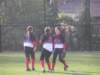 p1010026_small.jpg