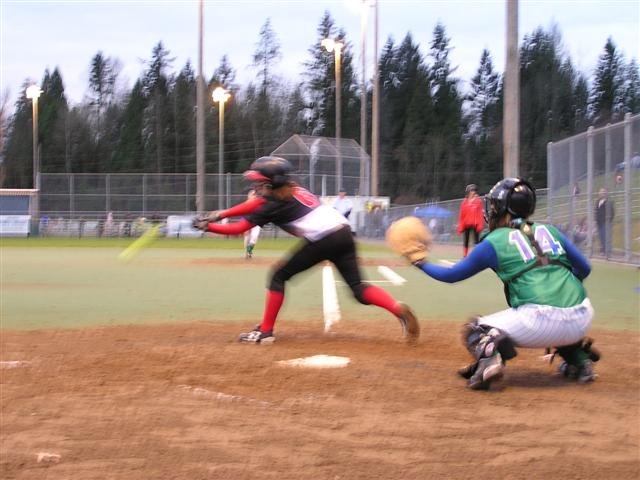 p1010048small.jpg