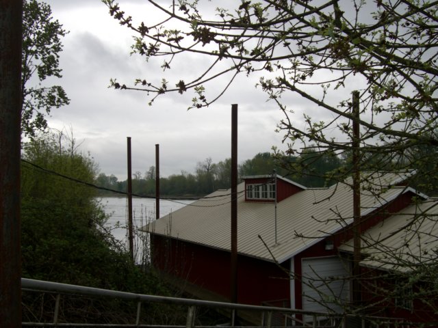 cimg1139.jpg