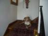 cimg1207_small.jpg