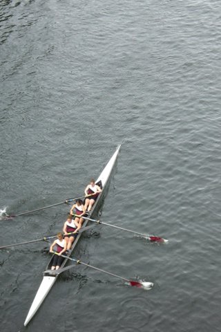 cimg1305.jpg