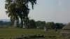 image0254_small.jpg