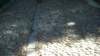 image0275_small.jpg