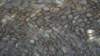 image0315_small.jpg