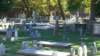 image0326_small.jpg