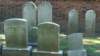 image0328_small.jpg
