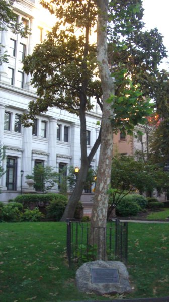 image0385.jpg