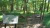 image0404_small.jpg