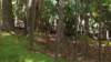 image0405_small.jpg