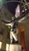 cimg2486_small.jpg