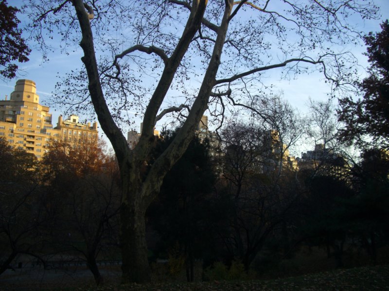 cimg2554.jpg