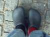 cimg2665_small.jpg