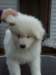 cimg2888_small.jpg