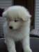 cimg2889_small.jpg