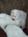 cimg2893_small.jpg