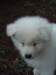 cimg2894_small.jpg