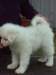 cimg2908_small.jpg