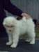 cimg2911_small.jpg