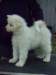 cimg2912_small.jpg