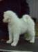 cimg2913_small.jpg
