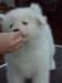 cimg2914_small.jpg