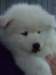 cimg2916_small.jpg