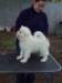 cimg2921_small.jpg