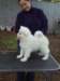 cimg2922_small.jpg