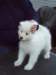 cimg2924_small.jpg