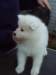 cimg2925_small.jpg