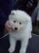 cimg2926_small.jpg