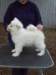 cimg2928_small.jpg