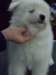 cimg2933_small.jpg
