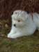 cimg2935_small.jpg