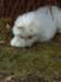 cimg2936_small.jpg