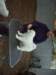 cimg2938_small.jpg
